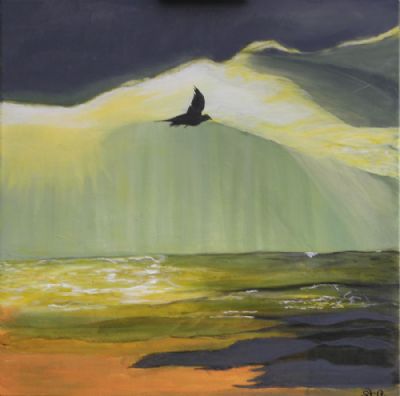 sort fugl i grøn solnedgang