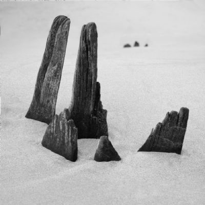 Stilleben On The Beach