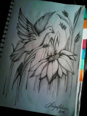 Dove Flower