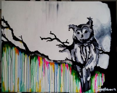 Colourful Owl