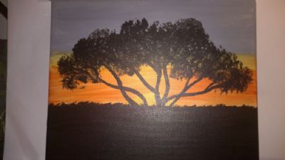 solnedgang p savannen