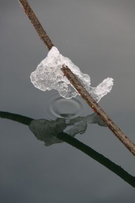  Ice and reflections