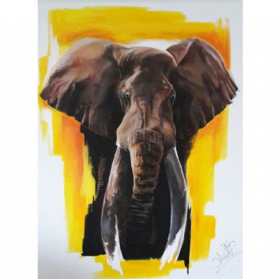 Elefant