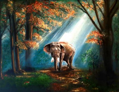 Elefant i skov